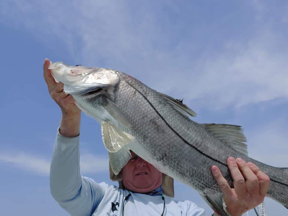Giant Snook in Stuart Beach, FL
